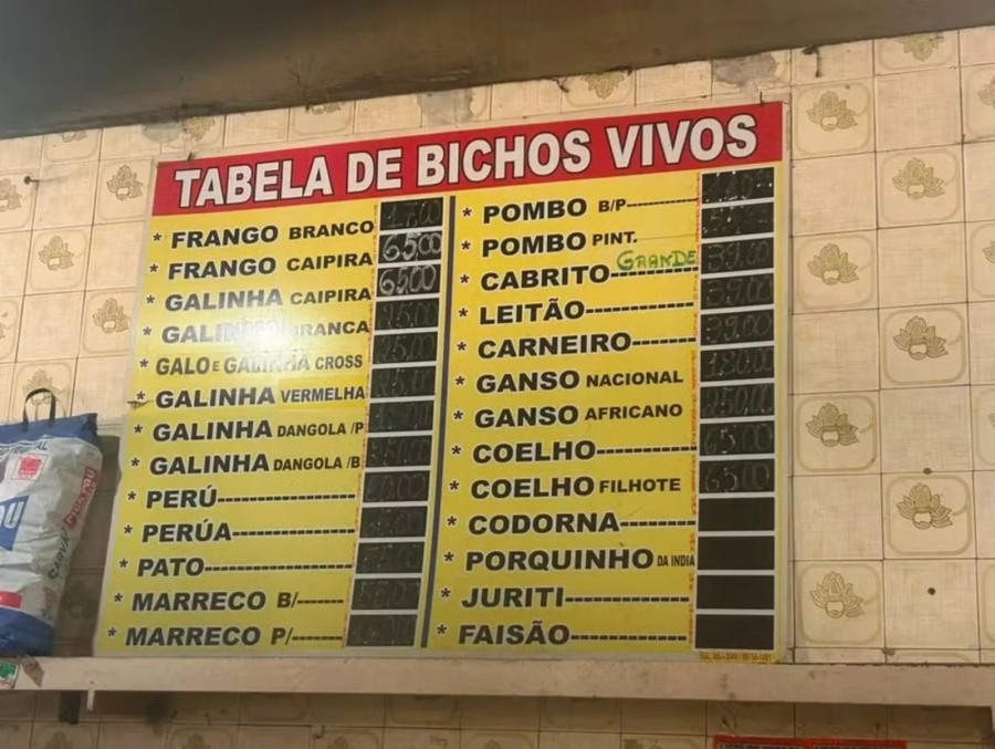 PM apreende pombos vendidos ilegalmente em loja de Duque de Caxias