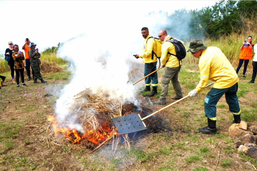 Nova Iguaçu abre inscrições para sua Brigada Florestal Voluntária